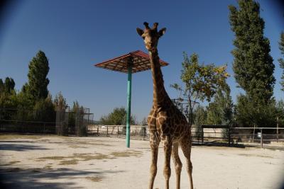 Прикрепленное изображение: A58DSC00402-1.jpg